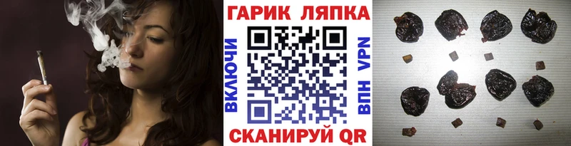 закладка  Нягань  ГАШ Изолятор 