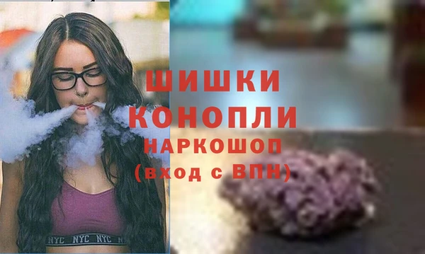 дмт Абаза