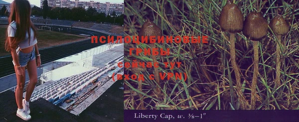 круглые Алзамай