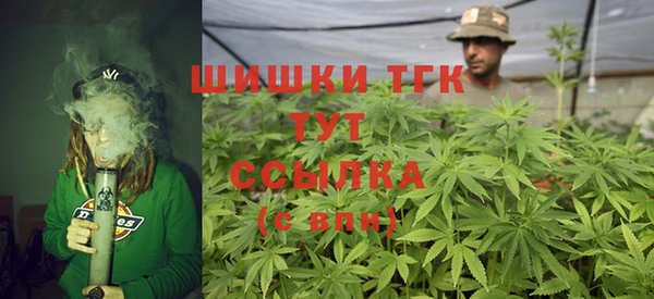дмт Абаза