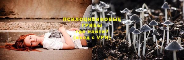 дмт Абаза