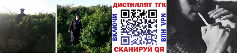 Дистиллят ТГК концентрат  блэк спрут вход  Нягань 