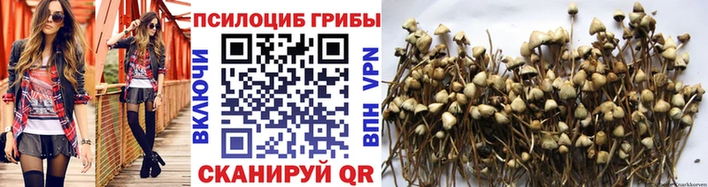 hydra ONION  Нягань  Галлюциногенные грибы Psilocybe  наркошоп 